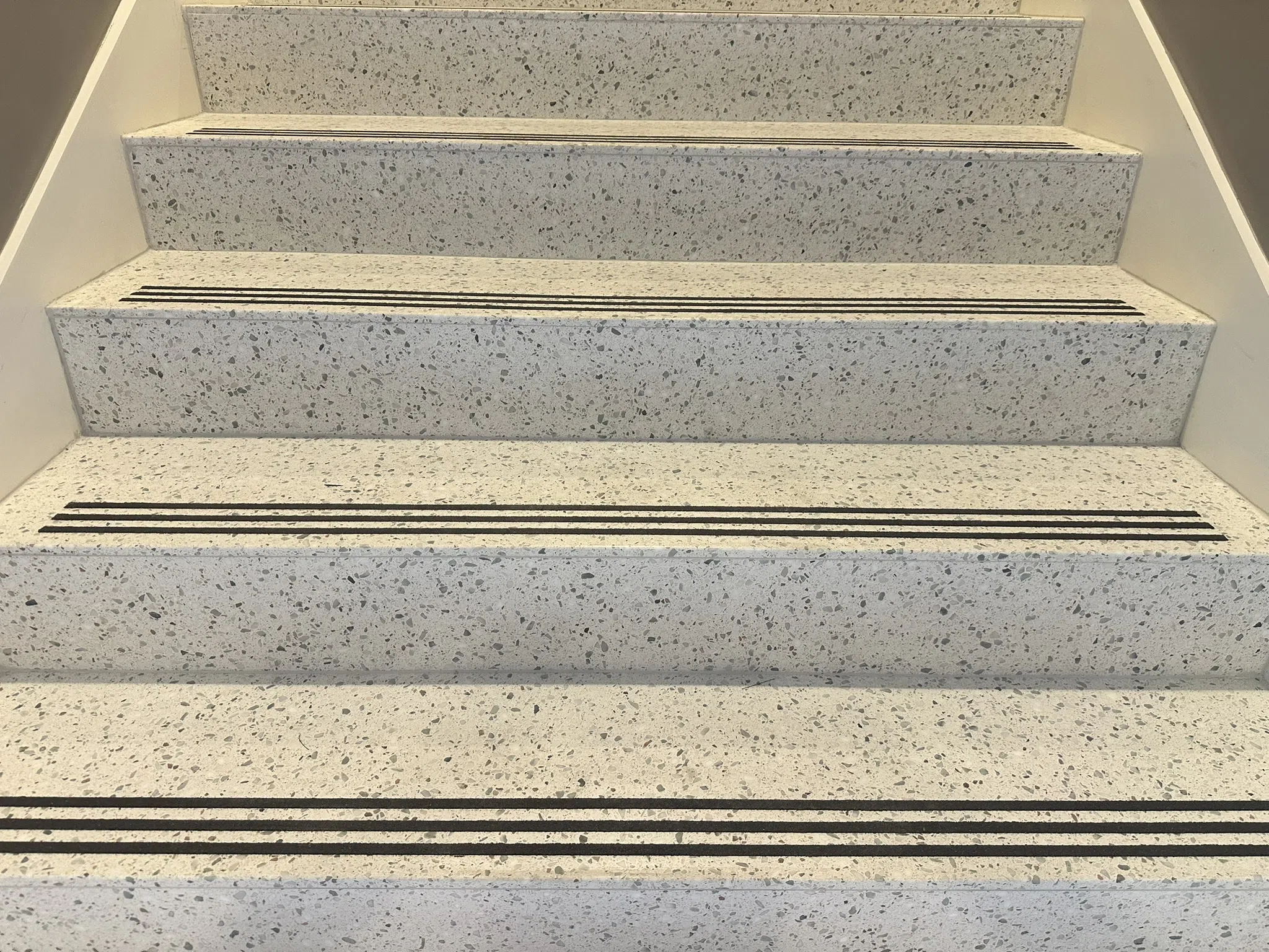 St Elizabeth - Hitchcock Hall Deficiencies and Corrections Project (2)